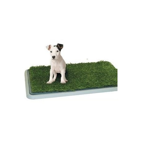 Toaleta pre domácich miláčikov - Potty Patch