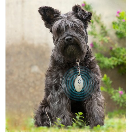 Ultrazvukový odpudzovač parazitov pre domácich miláčikov PetRep - InnovaGoods