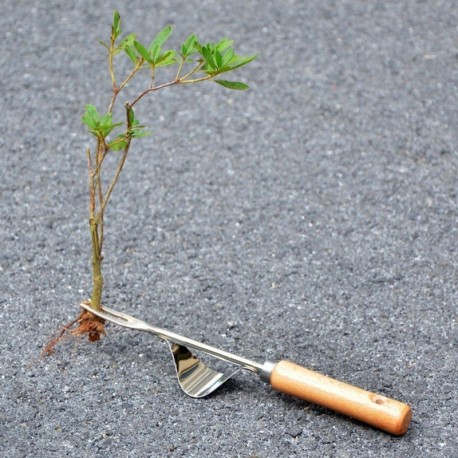Vytrhávač buriny