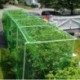 Záhradná zelená tkaná sieť na ochranu rastlín